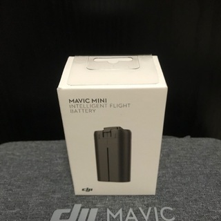 dji Mavic mini 海外バッテリー　ドローン