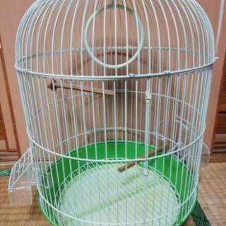 鳥かご