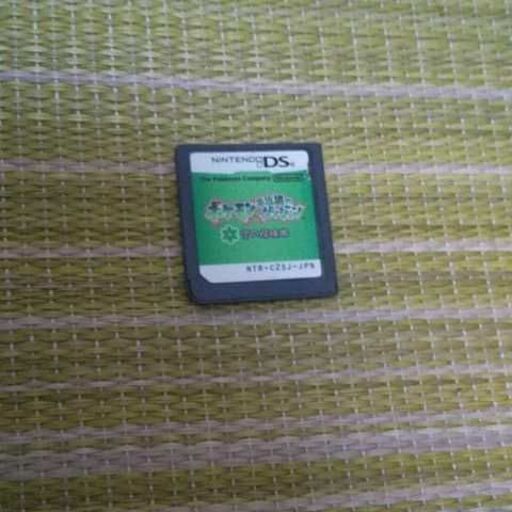 ニンテンドーDS,3DS 3DS\u0026DS
