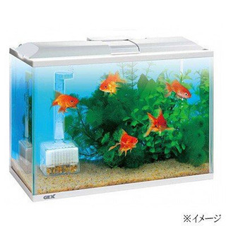 水槽　その他セット付