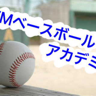 元プロ野球選手が指導する野球アカデミー