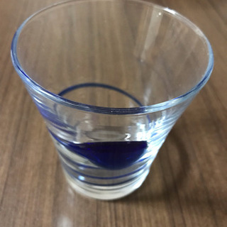 焼酎グラス 未使用品の画像