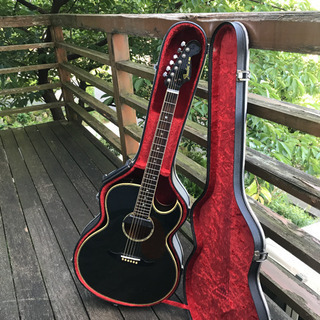 ジャパンビンテージ  86年 fender el rio アコースティックギターの画像