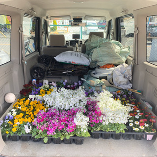 未経験大募集、植物好きな方、植木職人を目指したい方の画像