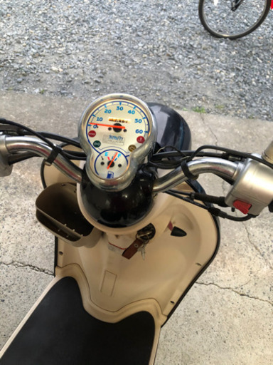 人気のビーノ！！