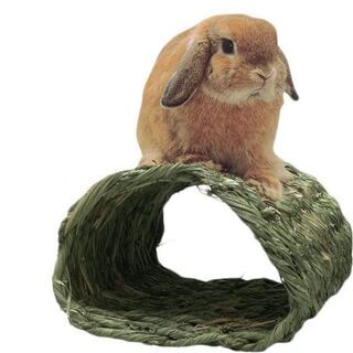 【５月１４日まで】△○川井　わらっこ倶楽部 トンネルハウスの画像