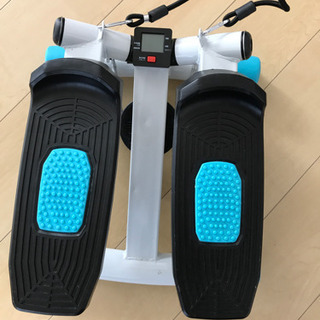 値下げ:ミニツイストステッパーの画像