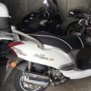 通勤にいかがでしょうか？125CCビッグスクーター自賠責9月の画像