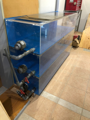 大型水槽(委託品)