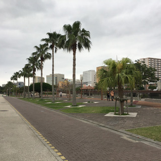 🏃‍♂️ランニング♪  仲間募集👍♪ - 那覇市