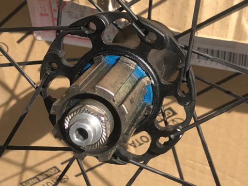 カンパ ニョーロ  ゾンダ