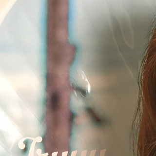 TWICE ツウィ　twaiis うちわ　　の画像