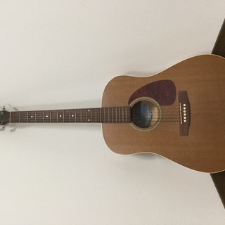 Seagullのアコースティックギター