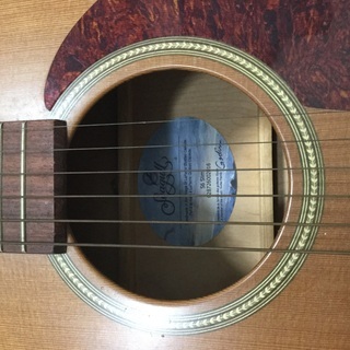 Seagullのアコースティックギターの画像