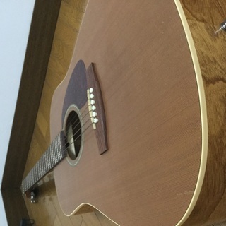 Seagullのアコースティックギターの画像