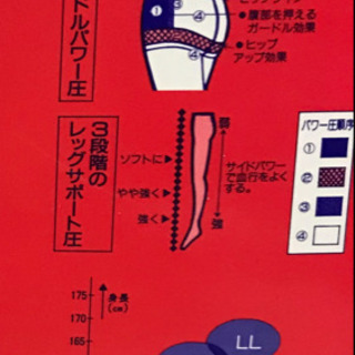 ヒップアップサポートストッキングの画像