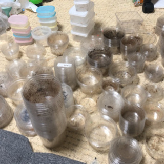 クワガタムシ　カブトムシ　飼育用品　クリーンカップ　コバエシャッ...