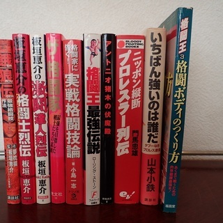 【激レア】総合格闘技　プロレス　骨法　纏めて２９冊