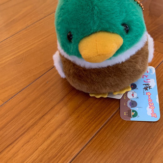 商品ご購入の方限定の画像