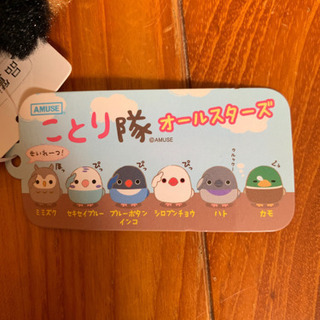 商品ご購入の方限定の画像