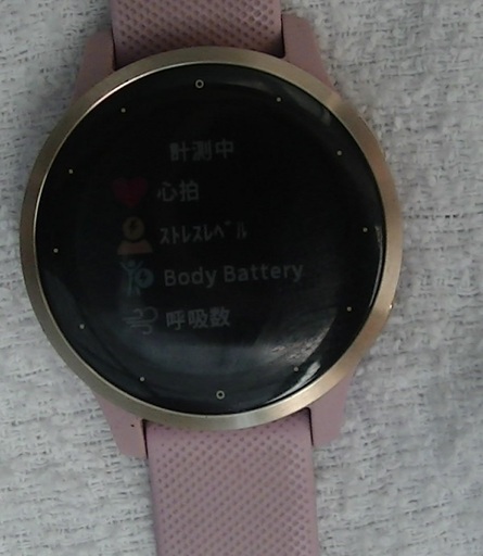 その他 garmin vivoactive 4/4s