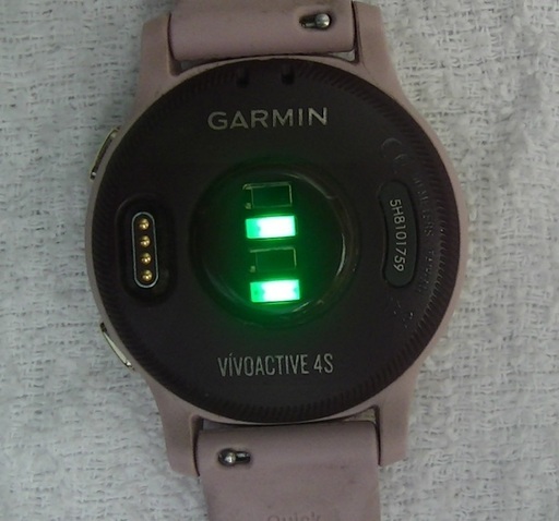 garmin vivoactive 4/4s