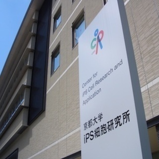 研究補助員を募集中！【京都大学 iPS細胞研究所】