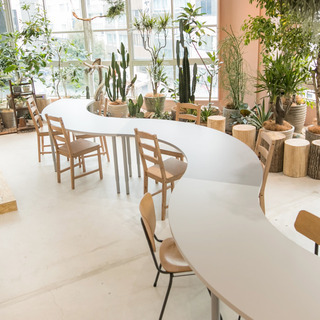 サービススタッフ　急募の画像