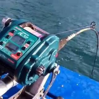 🔷深海釣りやってみたい方　高級魚🔷 − 大阪府