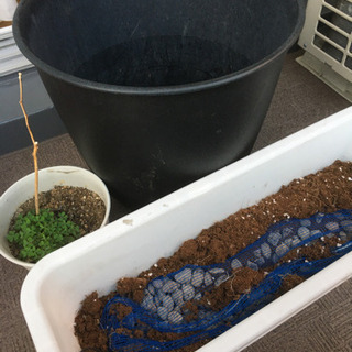 家庭菜園に。ベランダガーデニングに。植木鉢　大中小合わせて3つ　...