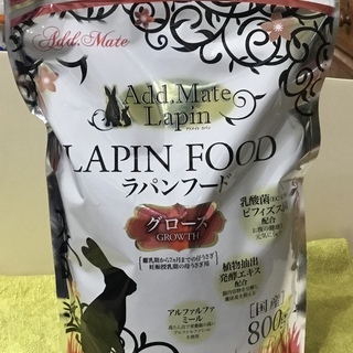 【けんぼの森】ライオンラビット 4/5生まれのちびっ子残り1羽‼️1羽➡︎15,000円が《限界値引き価格》1羽➡︎ジャスト10,000円‼️ - ペット