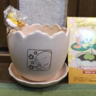 Tweety プランターセット