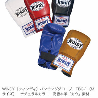 【お買い得品】ボクシンググローブ（おまけ付き）