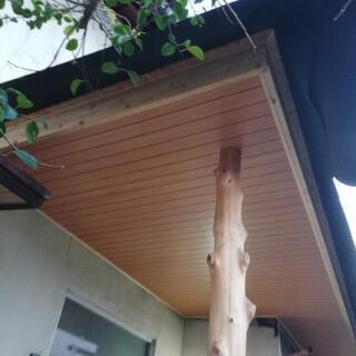 大工作業させてもらいます。
