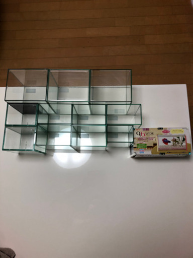 ベタ水槽