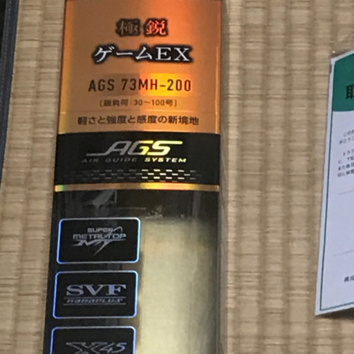 釣り竿 ダイワ 極鋭ゲームEX AGS73 205H