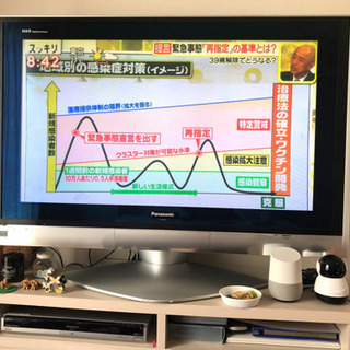 Panasonic 液晶プラズマテレビ VIERA 46型 