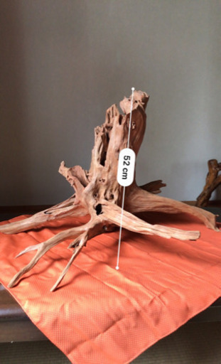 【木の根】私の父が趣味で磨いた作品です