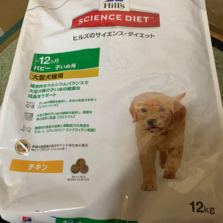 値下げ！！ドッグフード 12kgプラスおまけ付き♪