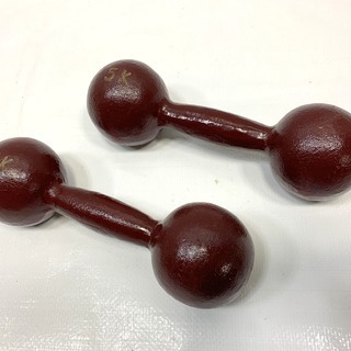 NIPPYO 10Kg ダンベルプレート ×2【20kg】 NIPPYO JAPAN ダンベルプレート 2.5kg x4枚セット - メルカリ