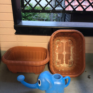 鉢
