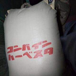 2019年11月天日干しのヒノヒカリ