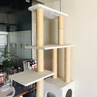 キャットタワーの画像
