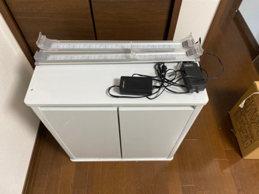 水槽セット『いろいろ』