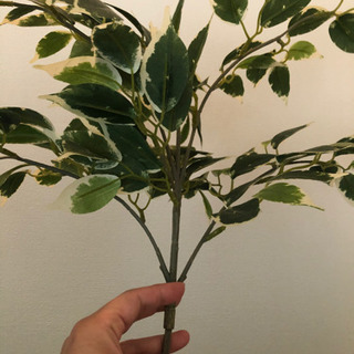 IKEA フェイクグリーンの画像