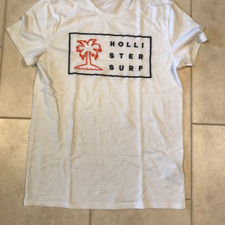 ホリスターのポロシャツ、Tシャツ差し上げます。の画像