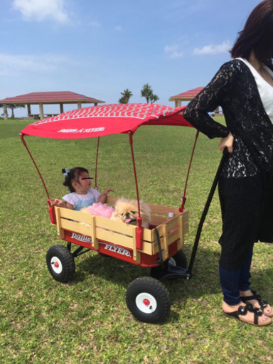 ラジオフライヤーお取引中