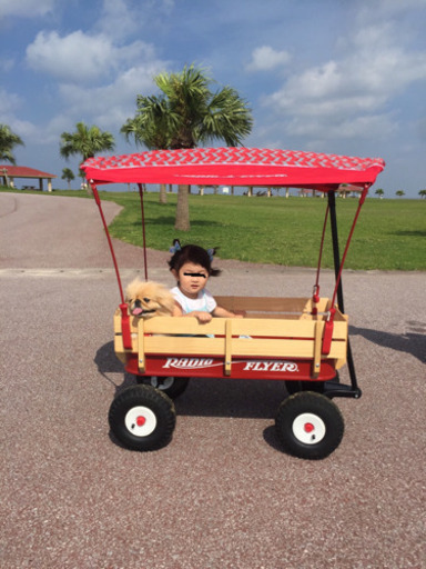 ラジオフライヤーお取引中