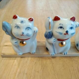 七福猫　可愛い❤️の画像