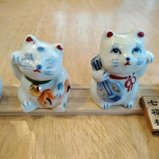 七福猫　可愛い❤️の画像